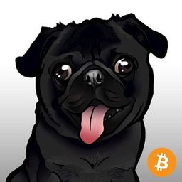 Coin image for 6CSL8z2Ty4kxir4PtYDP9MuPbgAYpmpaJqZewbf1Nfnc
