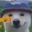 Coin image for 6DGESPhhX5EW2uaDfFPCVjGzYoQiSJbgLtCrcBW5pump