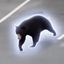 Coin image for 6DrvdwSKizt8AC231mVhipa1H4nrua22rbVftkRFpump
