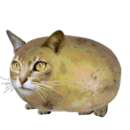 Coin image for 6Dy2MDe4nAw2JKmWCCBXK3MggvFMU9N4LDMKwD9Bpump