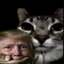 Coin image for 6H2cGBBiDp4XNDipjA29EvrFrnUWZkD4M1rpQkuspump