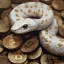 Coin image for 6JR5vPJZv1JdzeVVCjoHkxa5LVVUVssh8hRPRTSFpump