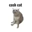 Coin image for 6JacgiGYhTjTZvfjpBSJZtVdAykzquYKNLSDKGimvi3U