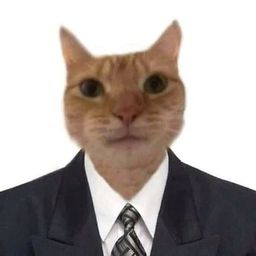 Coin image for 6K3ZuVuq9wYCEQMiW2kr9SDGAFPfTigHSMMwhcUPpump