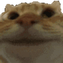 Coin image for 6KsoyYgg2youiScXnpYP4rtHNHZwAiGN5bcB3iN3pump