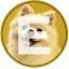 Coin image for 6LniBsnoUe8iW9tMhZTaQ3pg1xmywsnReHaPe39tUuAk
