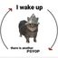Coin image for 6M8Eo2VRpxRpLX9u2a3SotPn6yKYMZPb3RoXwU8dpump