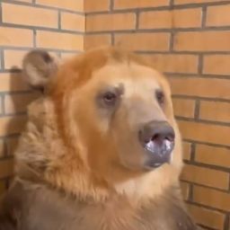 Coin image for 6MTPa6r8nbk2vgBjKCX7F5bLMmDSsBSFDk2cWqbPpump