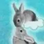 Coin image for 6NU52WS5LnPdTmKiMt6jFxr27VRStBXTRaUEn73dppEX