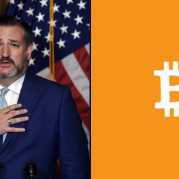 Coin image for 6NXTsGANLZRh6bzZBpcQgiDPR9WepSGUeQNrS3XQpump