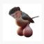 Coin image for 6PTnrULLJip1LyPScXeBWHJXQsTMBhoyTTmnpLz55fGG