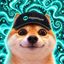 Coin image for 6PrGQt7iBSup9jkakVwDUYoZ2vUUqNM8HbZgYQ4Mpump