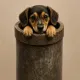 Coin image for 6T1M6breTeHYKHLZNVTC3NY1uykgVknKHKHLAgJmpump