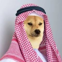 Coin image for 6U5zJNepGe9kBnKaLANFEmDWZnZKFgFoo98d4DUEpump