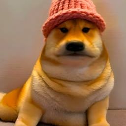 Coin image for 6Un2oNbNeGzsJWvjTZ4zgHyQKJiDWRchRfQJokVBpump