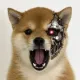 Coin image for 6UozbJLhe8r5iy9H6SHTgLsX77XZHQBjUqZrDvgppump