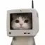 Coin image for 6Vpp3bFvRQSuYZxwwLiBzEsvCd5tW6pJZYvio3cRPBxd