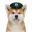 Coin image for 6VxgfC8qpCCBVK9T6To6fQkjSEANwzgZKc4gUrCEpump
