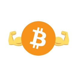 Coin image for 6WHM1jQy8LkpZD43jdfyFpuB1bbET6LdARkVfv3xpump