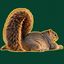 Coin image for 6WapBfZxtk6nGaWXDvWXdcyVr8VKwP34W1KBcPkwpump