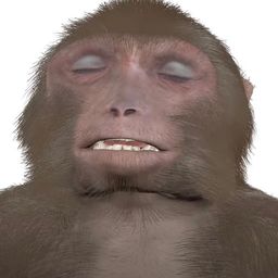 Coin image for 6YMa7krVsghj8ZchdYDFEcvrXKpmZpuDYvmrREftpump