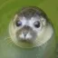 Coin image for 6YfzfYosnvEiCMJjoGVbG8Rg4YGVbXrEJvkgkFcqpump