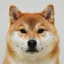 Coin image for 6arCyVDWFgU3i5A3NK7MRLqjeiJUELHDckUfj4ocs4Qh