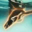 Coin image for 6awwYktq2uR1w9cVJhqWNgBZ4G2j2v78qBCriJCppump