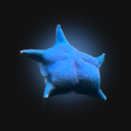 Coin image for 6bFZQuQAnwkNJFBVfwyK1f9uE9fvjZAWToNLcdHzpump