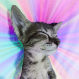 Coin image for 6bSLnFkQMoAVYresEc1DegkHfKHVwXvH3iwUtpWZpump