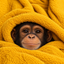 Coin image for 6dH7sMW7dWPHeKT6RKEquzoEZD8YB6EtAsKVoGSwpump