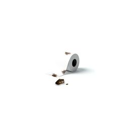 Coin image for 6dVUm8FTQuDJDG9GFXDfqaKJrSpuYu99Ez6Hdboppump
