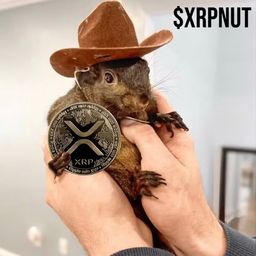 Coin image for 6dbv4DiweavKjpn29Uc8aSXfeAWJEB8dNVMzeUUvpump