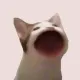 Coin image for 6djUQhuCBaK2wdhBAfyCwKdvNP1ZTpAYHHFJrq4okTxb