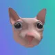 Coin image for 6eVzbF23xqGsWdQ52dmsv2kwkJP5pzGzqbjRzEGJpump