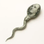 Coin image for 6eYhr5bFFYpaDFYJCgSvo4LCGLse2XnCxwBgUvt6dKbA