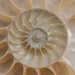 Coin image for 6fy1dRa4APGJjfifQc4CEmYShbArbQBhv1dXWwHEpump