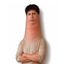 Coin image for 6gGShHSH7KqQWMqbHYmmAgPyaFHgksKrtg4UgjRipump