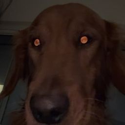 Coin image for 6goUDG3C4kfFiiLCX3EZK8yjFYwvTWLSJDcFJRPpump