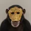 Coin image for 6iaGtkbnQQxe1ygv7kKk2BaVcELE4wYq6shyYkbPiB6r