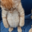 Coin image for 6jFKpm31H4TA1z8xzTFrayveLEK95EnBeAaj4chupump