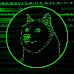 Coin image for 6mAxEJkPJqqKQXAyk9Xm2tWNXKvQwcviyfxuas7Tpump