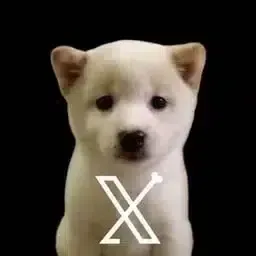 Coin image for 6oS7KuihuxzzVHDz2u88H2JxH17HqFauYGBPxEVgFMeX