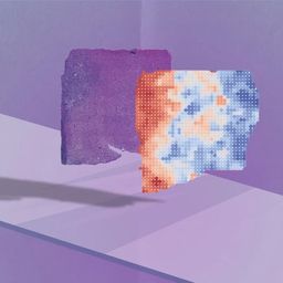 Coin image for 6omjk4wvvKtuk6eHgp1ERUMDgcmbDhZyRBsiXUc4pump