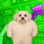 Coin image for 6pWoDRdLp1SeUXUB48JdxBf19AVKrQFfv6p5hCiopump