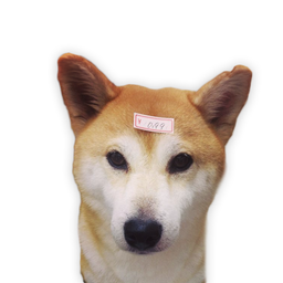 Coin image for 6qayUajHmmmdDvabVAnGyhwjc2ov7EKw1Ky2mkLPpump