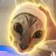 Coin image for 6rTZiThB6pH4qjTaY9TJFR4iZRTJSJLRohhpMZgXpump