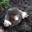 Coin image for 6rk8pkB572s5ConYzCJMytTF8RoMrTwpurEpNKs4pump