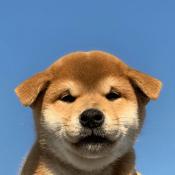 Coin image for 6s87LTM4vsanYirRsRCCk2eYJBToPgVQUhPwadY5bXPn