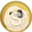 Coin image for 6sUhXswcVSmDRRz1UxVKr73ydoCqa2j8Xe9dQzdepump